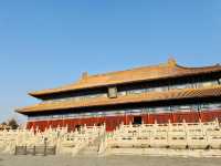 真的被太廟根金絲楠木震撼到了！