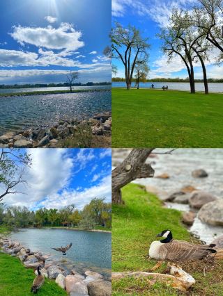 Hinton, Canada: A Hidden Gem in the Rocky Mountains