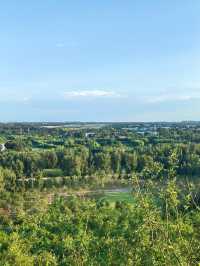 北京新晉最美觀景台｜南苑濕地森林公園飛雁台