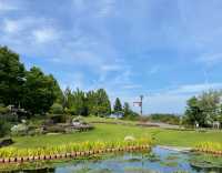 草津市立水生植物公園｜四季畫卷，水生花草繪就的自然詩篇