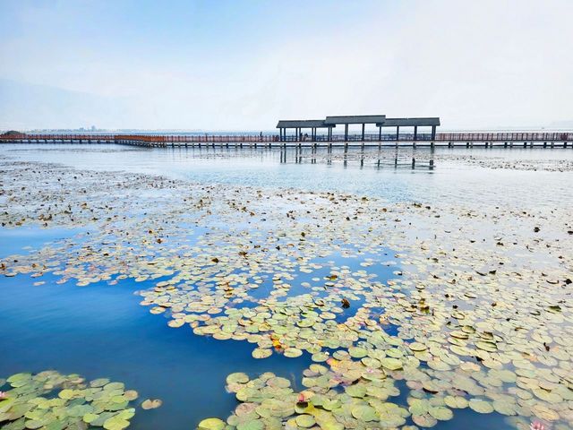 雲南石屏：神仙小城，為甚麼午飯這麼難？