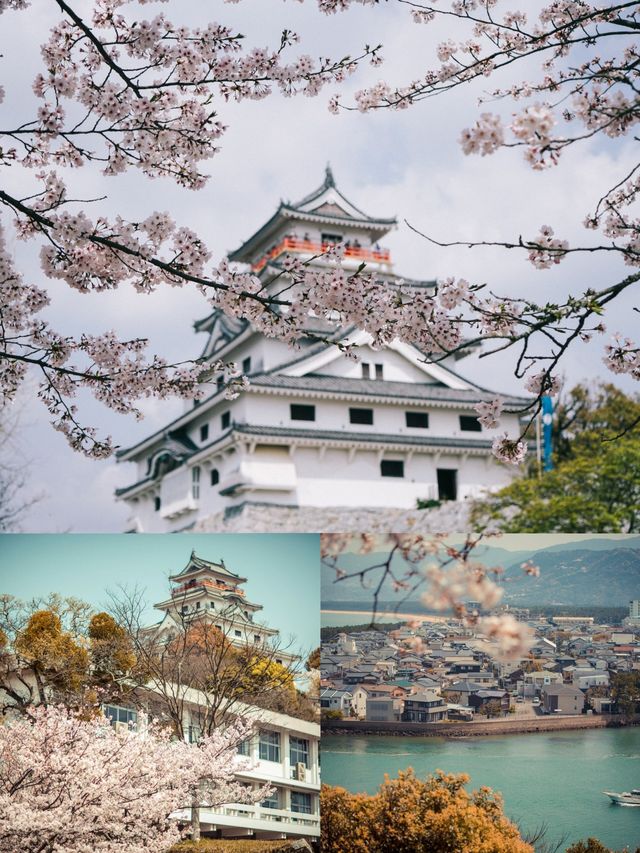 日本佐賀