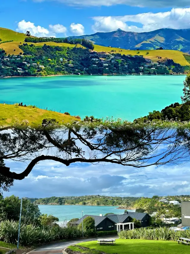 Stunning Autumn Scenery in New Zealand in March: A Comprehensive Guide to Must-See Attractions!
