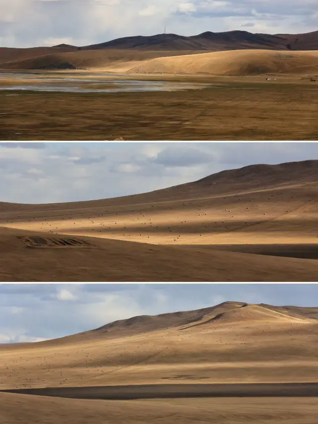 5-Day Getaway: Your Genhe Travel Guide