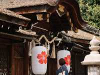 京都小眾賞櫻聖地 | 平野神社