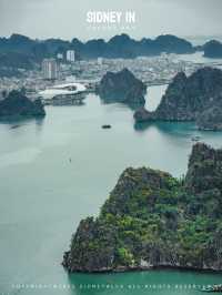 🇻🇳下龍灣顫抖登頂❗️人生封面在此🏞