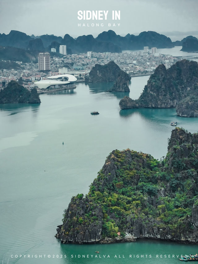 🇻🇳下龍灣顫抖登頂❗️人生封面在此🏞