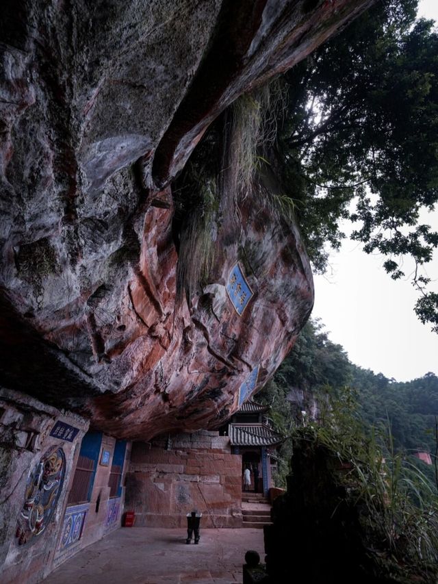 蜀南竹海：赴一場綠野仙蹤之約