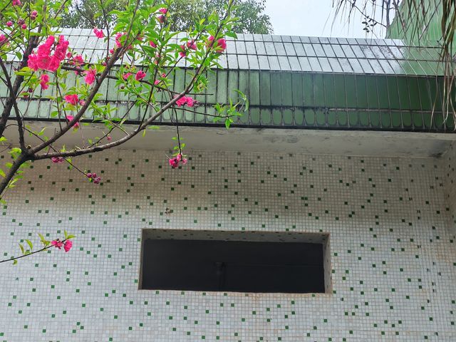 桂林近郊踏青賞花的好去處