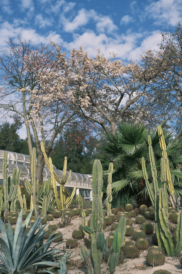 廈門必去 植物園 四季都有不同的美