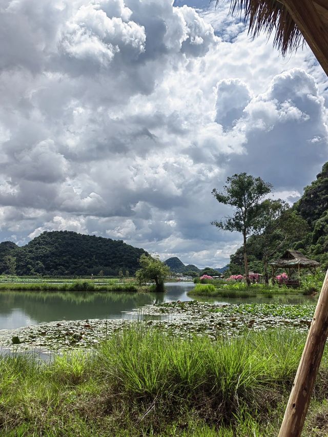 8日暢遊雲南昆明-撫仙湖-建水 小長假的不二之選