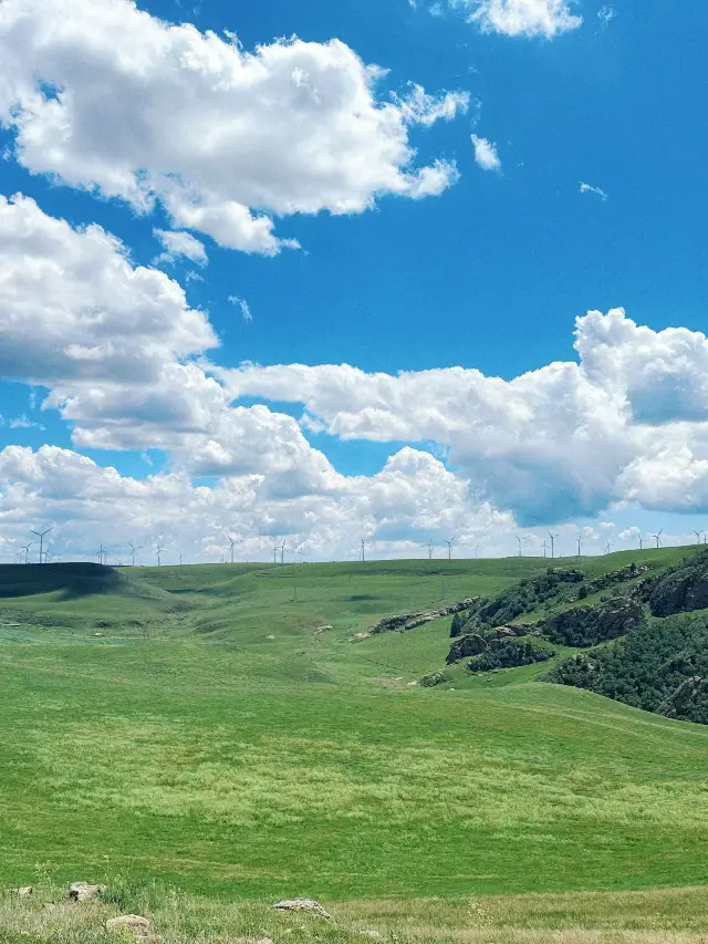 Qingming Festival Trip to Hohhot-Huitengxile Grassland: The Perfect Getaway