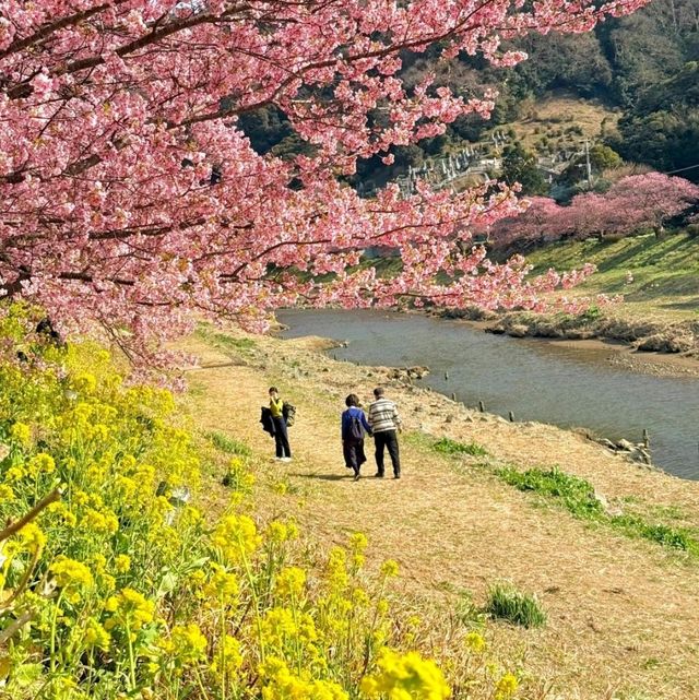 🌸札幌 | 闖入童話般嘅春日花境🌸