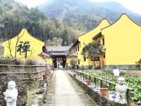 地處諸暨五洩風景區核心地帶的五洩禪寺