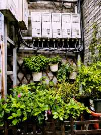 跟著北京老街坊遊覽胡同，西城小絨線胡同