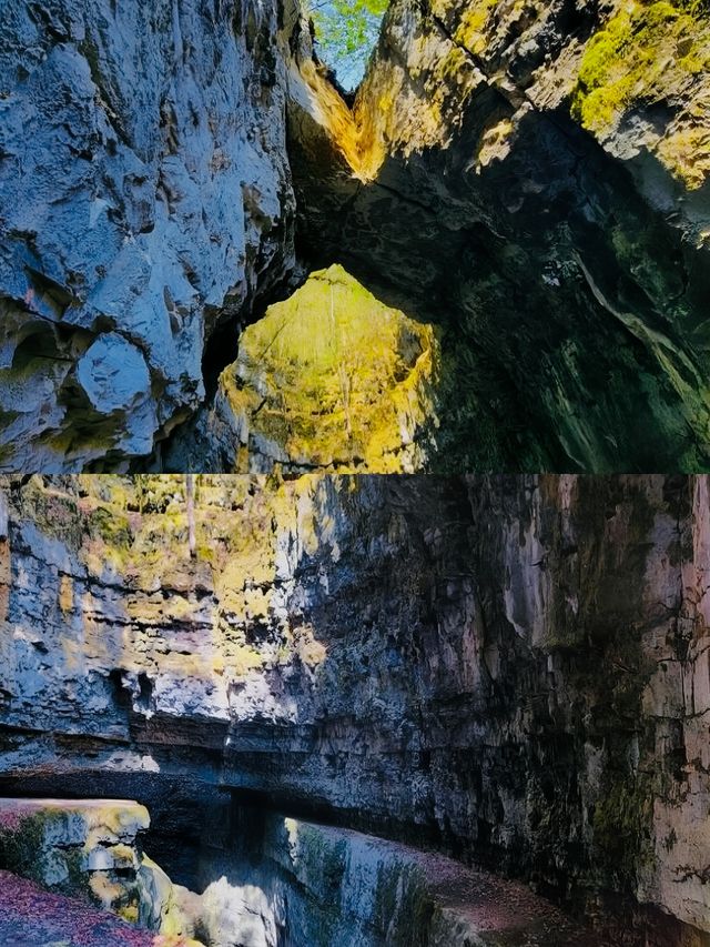 剛從漢中天坑回來，《國家地理》誠不欺我