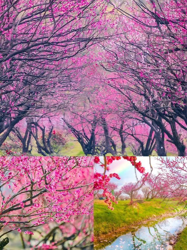 湖州‖3-4月份淡季嚟真係好正,人少景靚! 湖州‖3-4月份淡季嚟真係好正,人少景靚!
