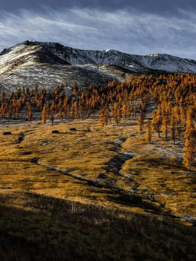 하미 20일 친구 여행, 실패 없는 여행 가이드