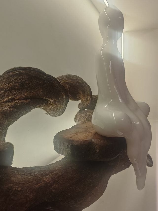 「茶韻禪心·光影秘境」