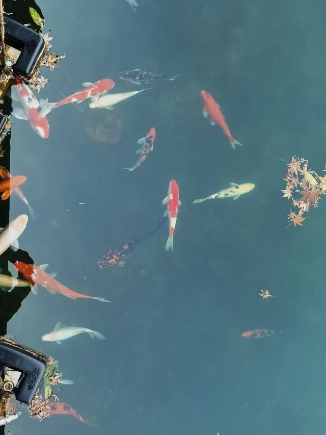 長沙小眾周邊遊｜寶蓋寺，隱藏的世外桃源
