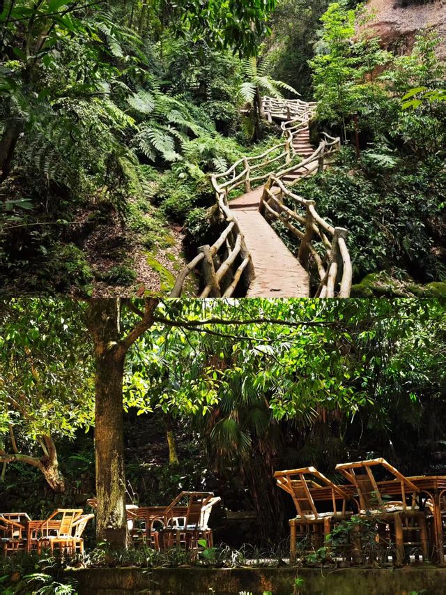 深山藏瑰寶，歲月留遺憾