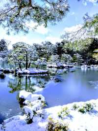 6日清明遊 日本賞花正當時