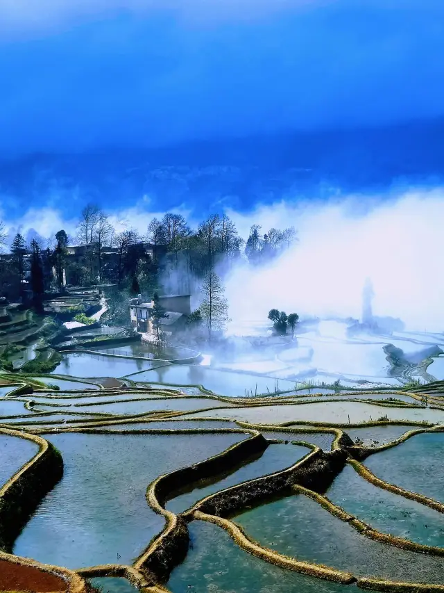 11-Day Yuanyang Tour: A Super Detailed Guide