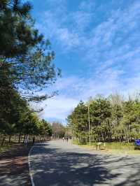 奧林匹克森林公園南園