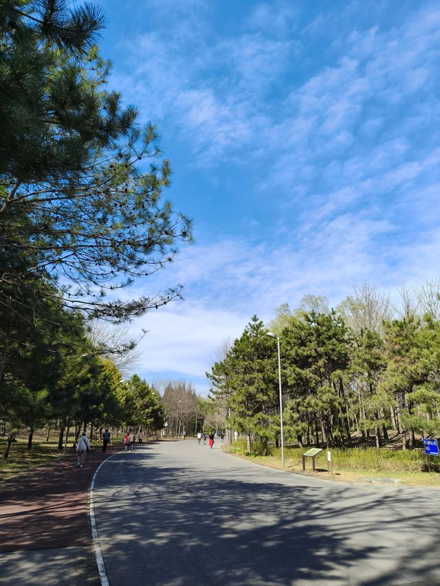 奧林匹克森林公園南園