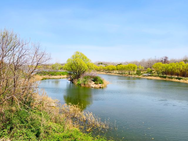 鄭州，滎陽有一個免費的適合「撒野」的公園