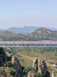 Glass Bridge and Glass Skywalk