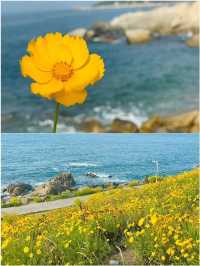 反傳統春遊指南 解說新玩法
