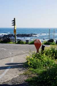 小眾徒步路線二刷濟州島只為來這兒