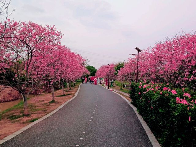 Shipai Park: Blooming as A Bomb of Colours in Dongguan
