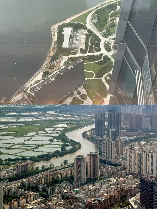深圳瑞吉｜未如理想的深圳之巔