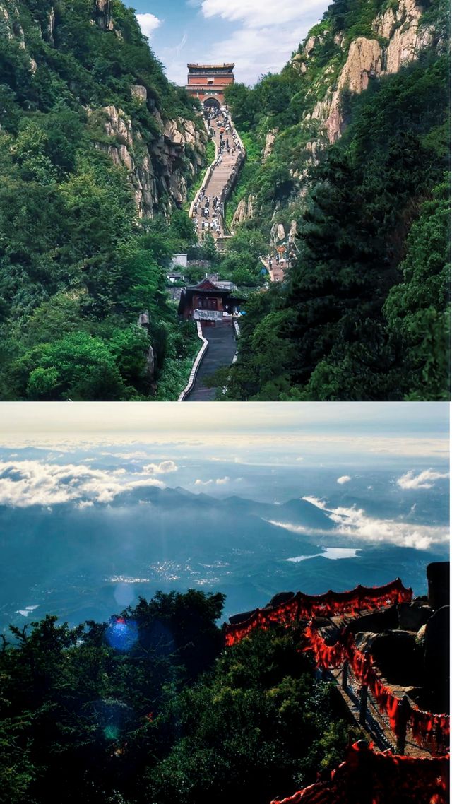 乜嘢？你想睇雲海？