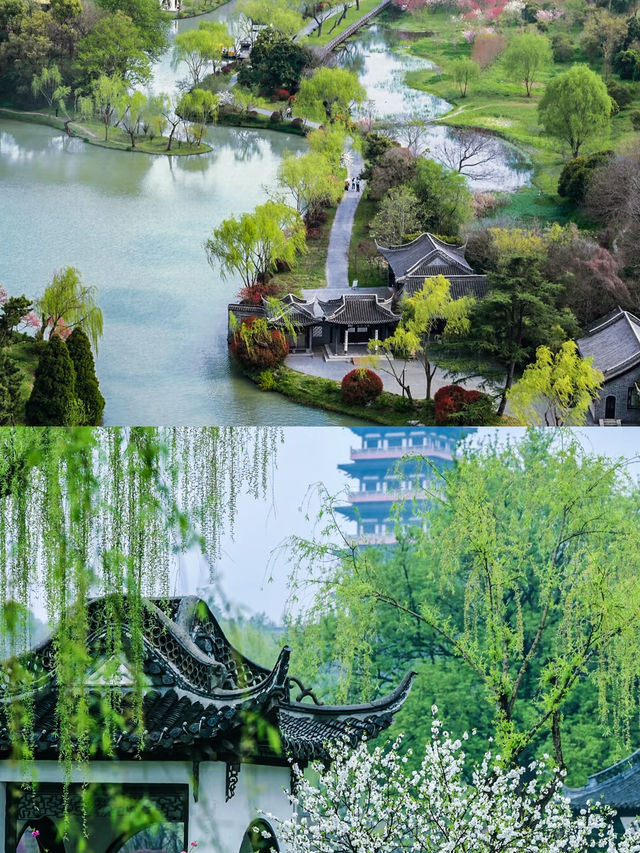 週末別擠蘇杭！煙花三月，當然要下揚州！