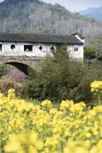 廊橋再夢：一座藏在深山的明代古橋