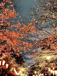 東京上野恩賜公園——一個讓人流連忘返的綠意角落
