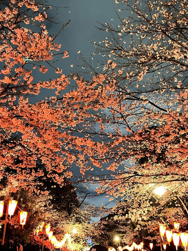 東京上野恩賜公園——一個讓人流連忘返的綠意角落