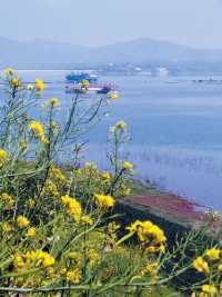 在洛陽遇見江南！「小洱海」太出片了