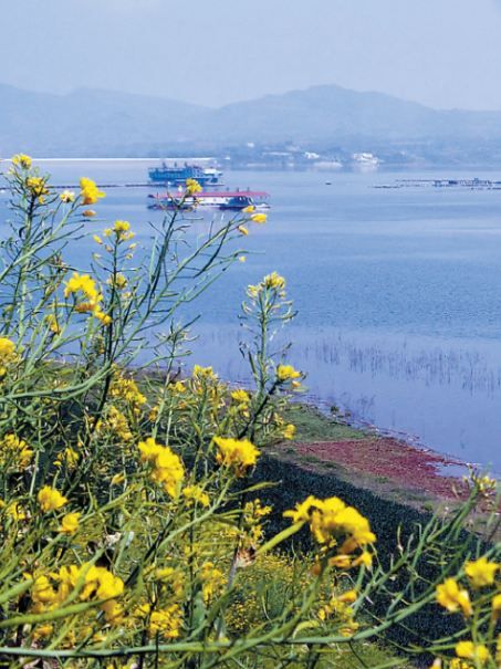 在洛陽遇見江南！「小洱海」太出片了