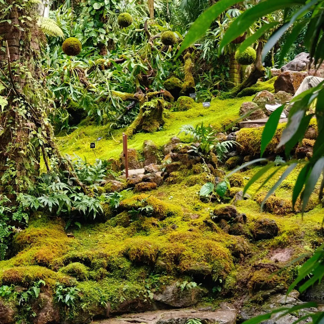 深圳仙湖植物園，陷入大自然的Love