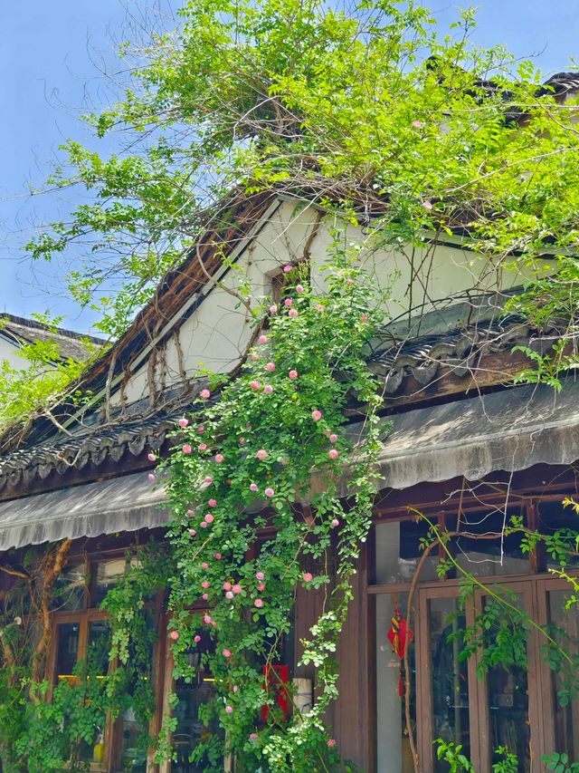 杭州旅遊攻略