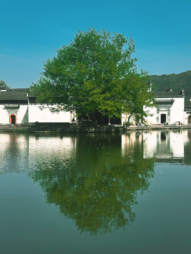 八卦呈坎，一生無坎（含攻略）