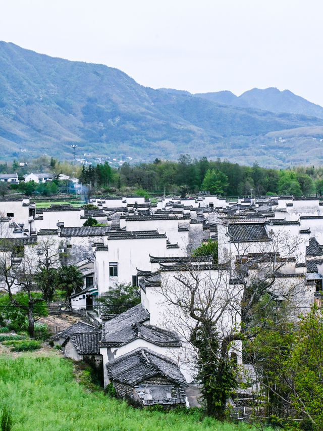 盧村｜這裡比宏村人更少景更美！沒有那麼商業化