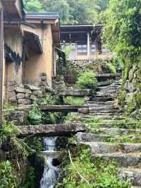 浙江絕美寶藏｜雲和梯田2天1夜超全攻略完成