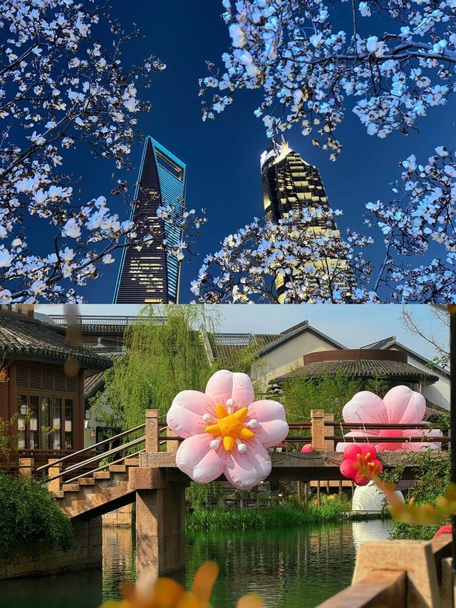 第一次去上海，差點回不來