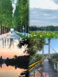 衡陽南湖公園：免費花海中的春日漫遊