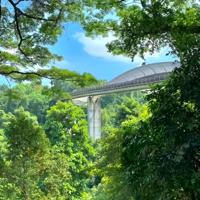 สะพานเฮนเดอร์สันเวฟ | อีสต์โคสต์ | โบสถ์เซนต์แอนดรูว์